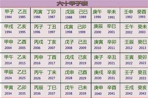 2023年五行屬|出生年份之：2023年五行属什么